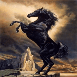 Arquétipo do Cavalo: Tome as Rédeas da Sua Vida.