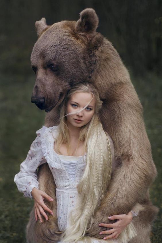 Arquétipo do urso