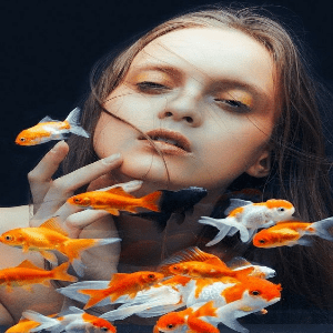 Arquétipo do Peixe: Nade em Direção ao Sucesso
